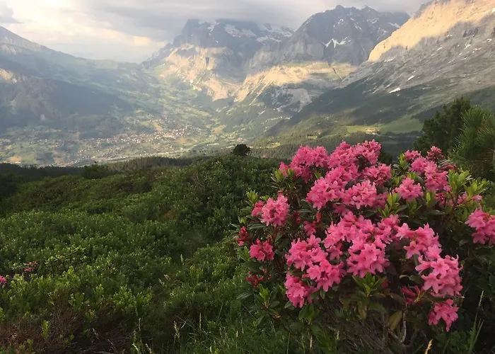 Berghaus Grindelwaldblick * Kleine Scheidegg