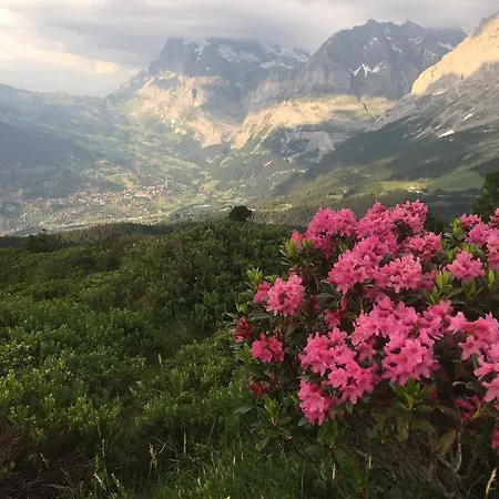 Berghaus Grindelwaldblick * Kleine Scheidegg