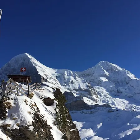 אכסניה Berghaus Grindelwaldblick קליינה שידג